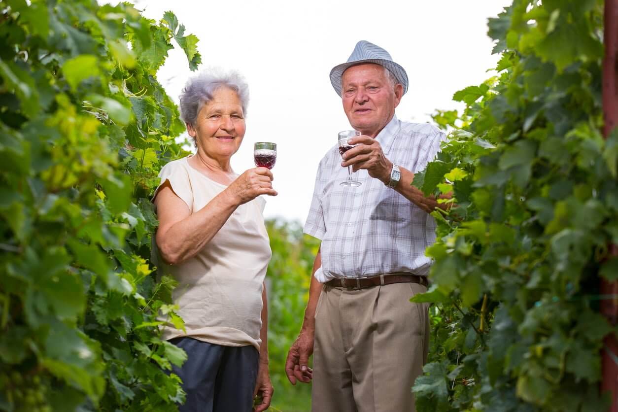 10 Summertime Activities for Seniors