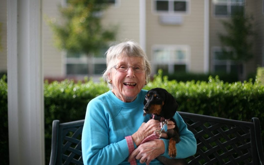 Seniors and Their Pets: Why Owning One is Good for You